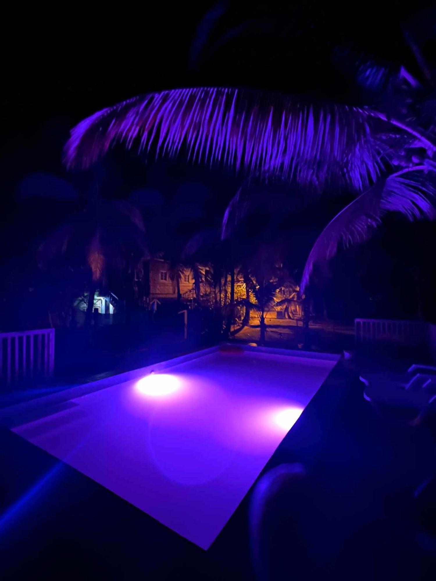 Hotel Tierra Verde Bed And Breakfast Bocas Town Exterior foto
